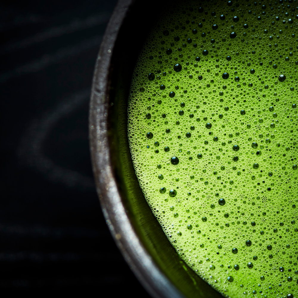 Why Matcha has UMAMI?