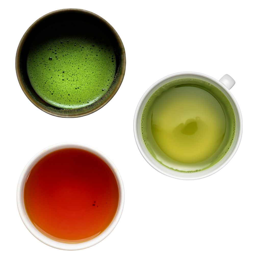 Comparing Matcha, Sencha(Green Tea), Hojicha