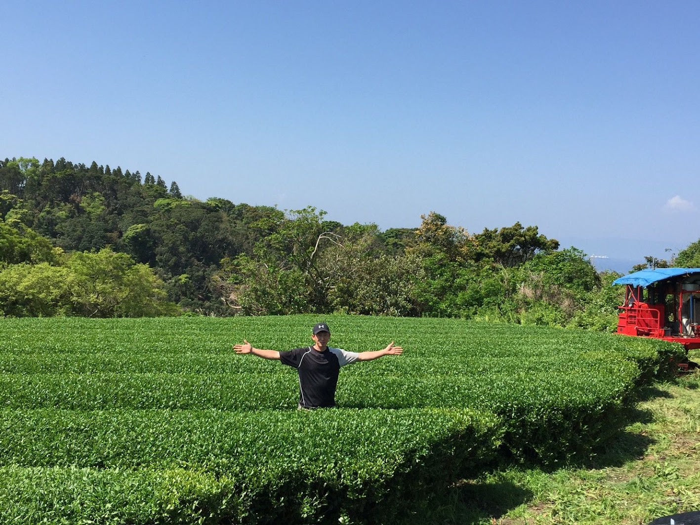 AU MATCHA staff standing among shaded tea bushes at a partner farm in Japan